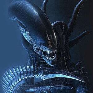 Xenomorphs (Alien)